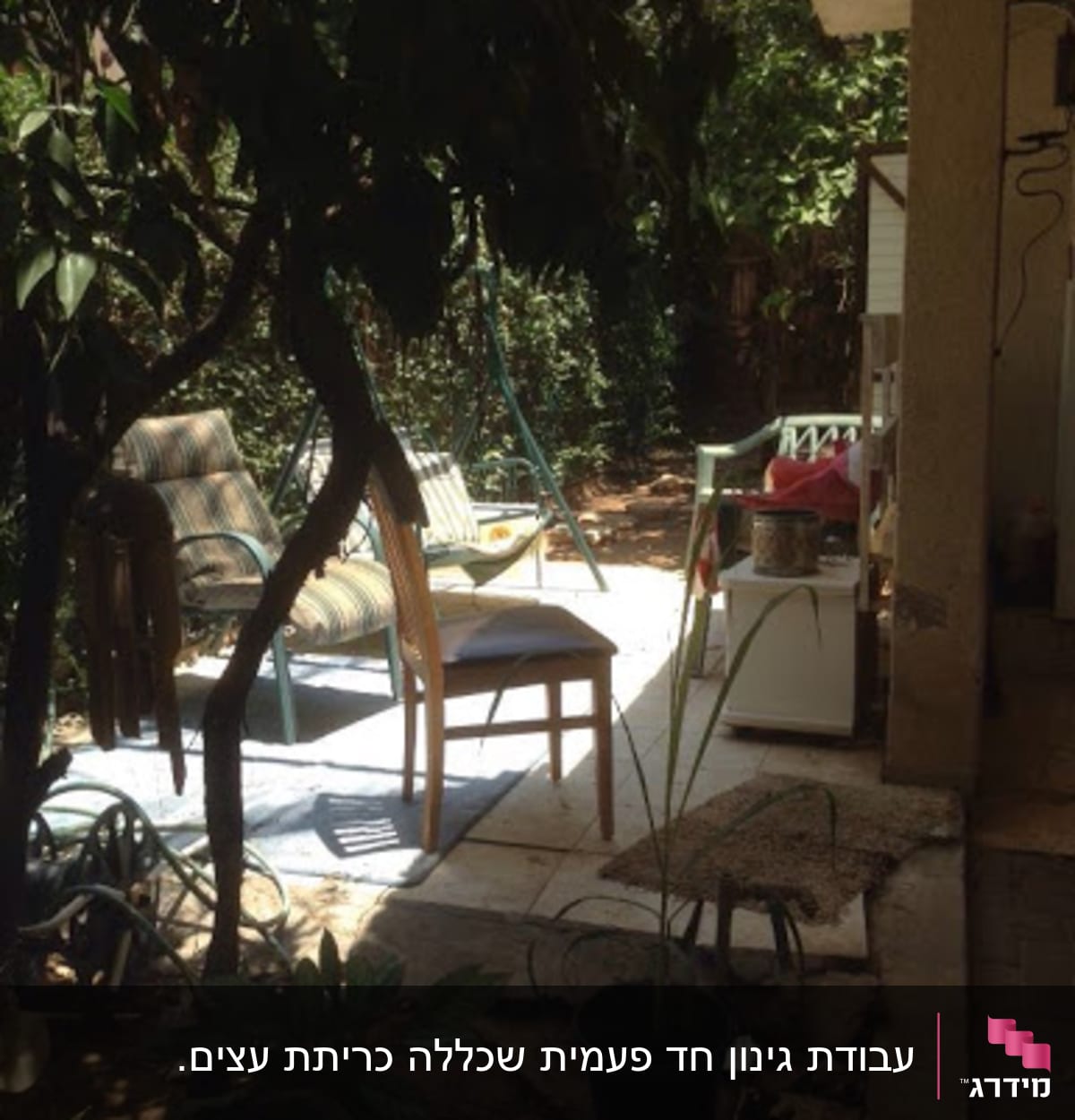 Outdoor area with trees and garden tools